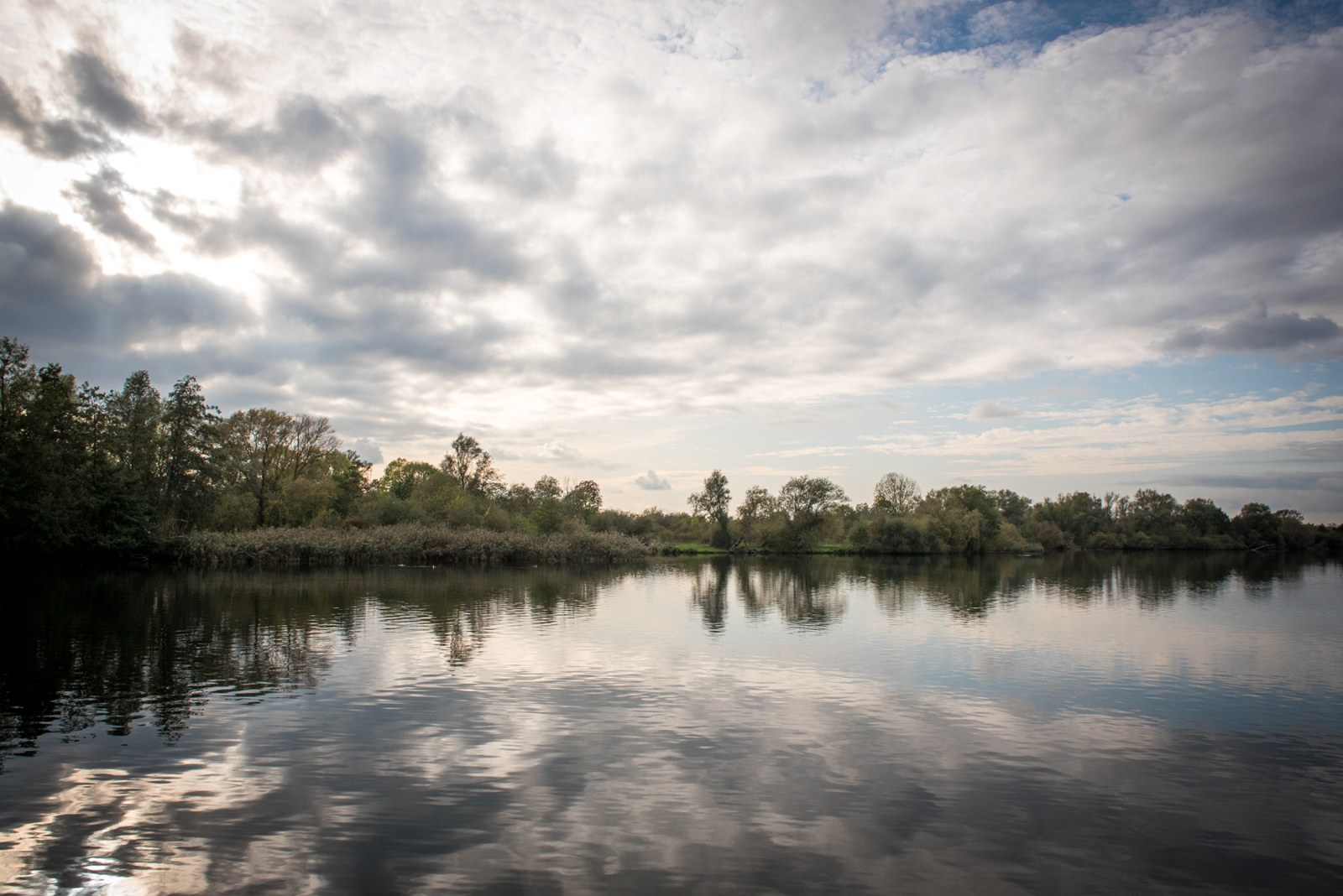 Bomen langs de Grensmaas weerspiegelen in het water