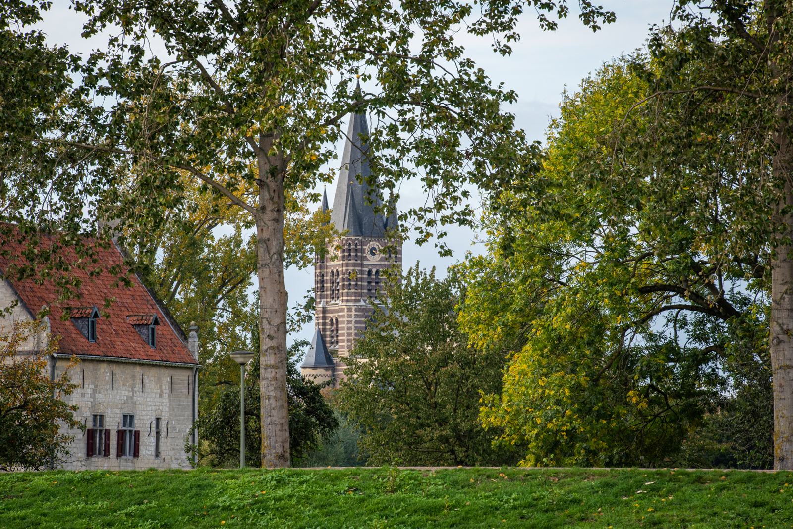 De toren van de abdijkerk van Thorn tussen de bomen, gezien aan land